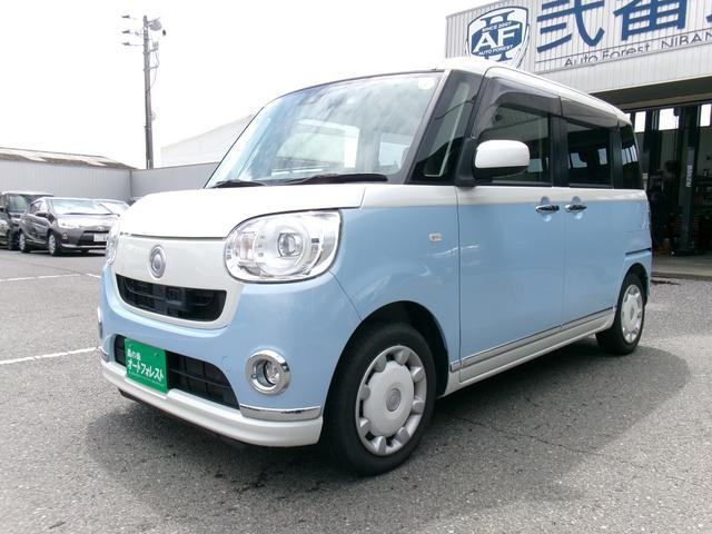 ムーヴキャンバスG メイクアップ SAII