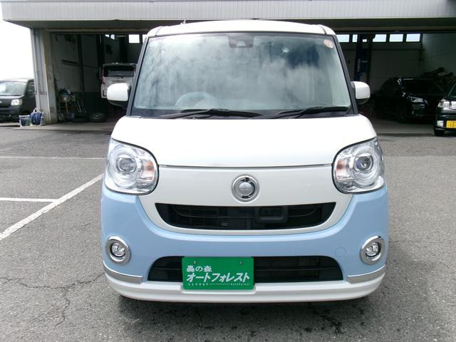 ムーヴキャンバスG メイクアップ SAII