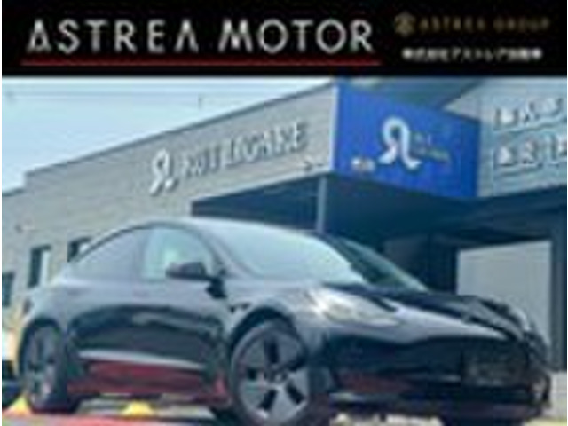 ���f��3�i�e�X���j�X�^���_�[�h�����W �v���X�@��C���� �I�[�g�p�C���b�g ���v�V�[�g ���Îԉ摜