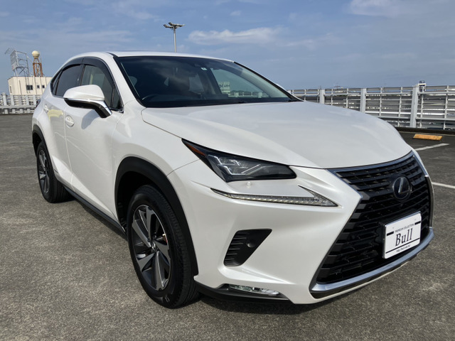 NX�i���N�T�X�j300h �o�[�W����L ���Îԉ摜