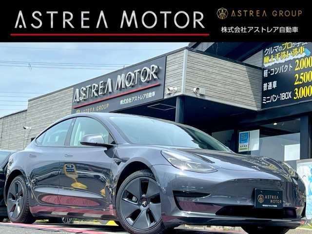 ���f��3�i�e�X���j�X�^���_�[�h�����W �v���X�@�I�[�g�p�C���b�g ��C���f�� ���v�V�[�g ���Îԉ摜