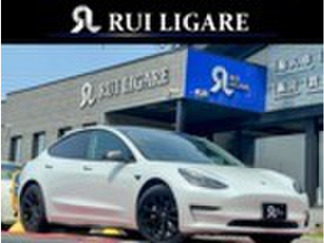 ���f��3�i�e�X���j�����O�����W 4WD�@�I�[�g�p�C���b�g ��C���f�� ���v�V�[�g ���Îԉ摜