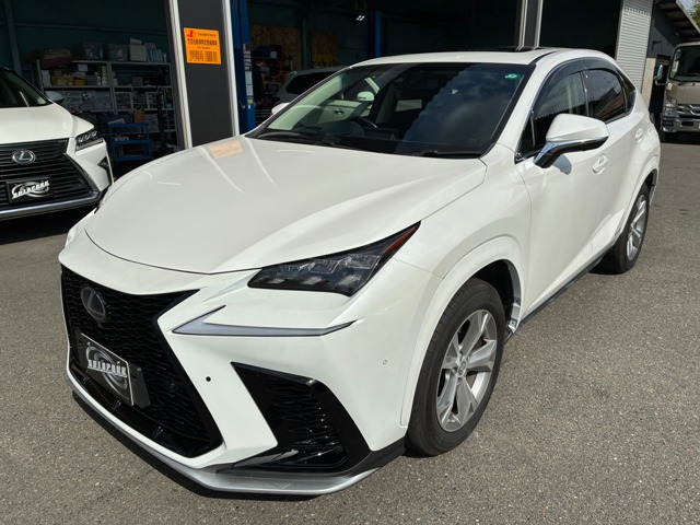 NX300h Iパッケージ 4WD