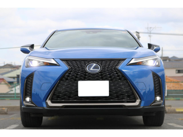 UX250h Fスポーツ