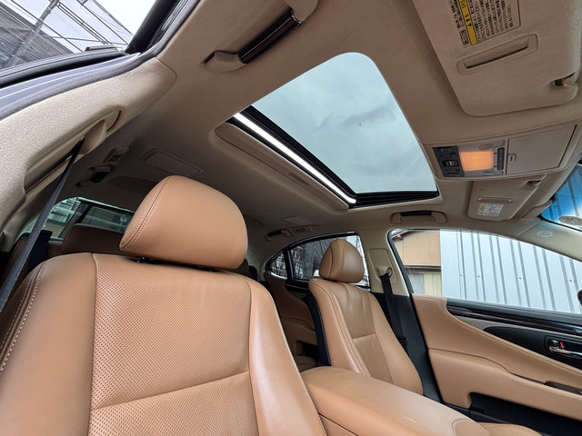 �l�C�����̃��[�����[�t��