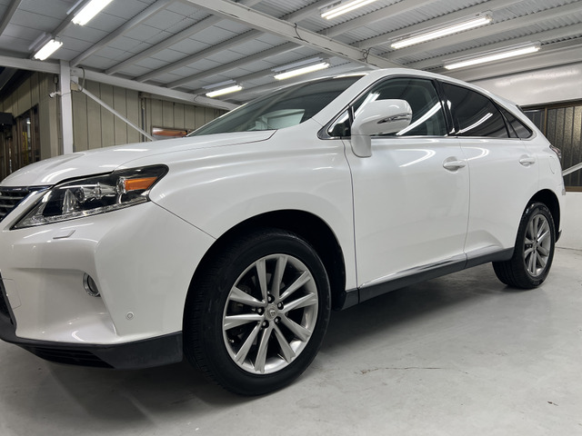 �y�����v���C�X�z �O�ꂵ���o��팸�Ǝs�꒲���ɂ��ቿ�i���������Ă���܂��̂ŁA��ϐ\���󂲂����܂��񂪒l�����͂��f�肵�Ă���܂��B���ЁA���x�������z�\�����i�ɂĂ��������������܂�<m(__)m>