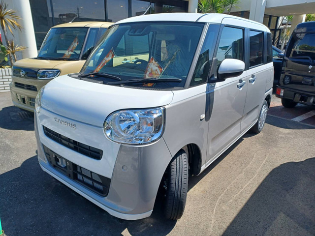 ムーヴキャンバスストライプス X