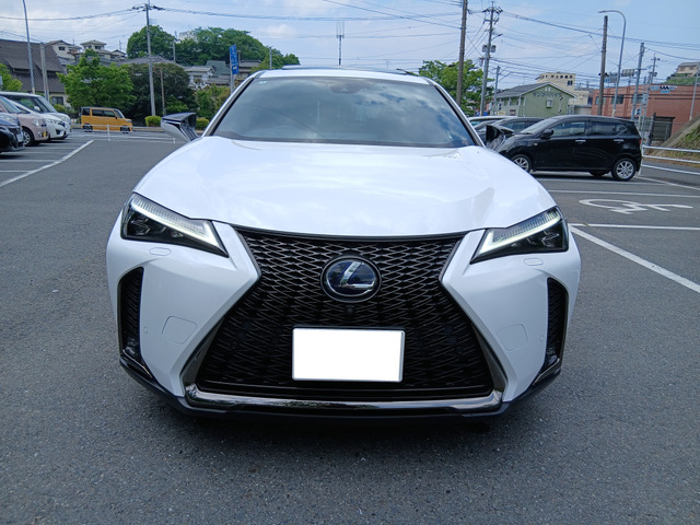 UX250h Fスポーツ