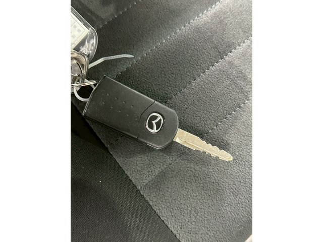 �y�L�[���X�G���g���[�z