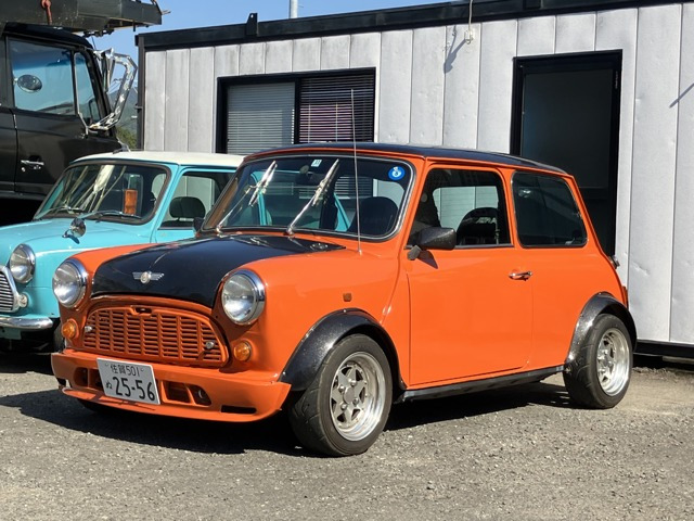ミニ