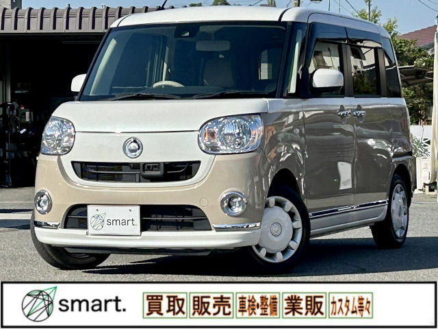 ムーヴキャンバスX リミテッド メイクアップ SAII