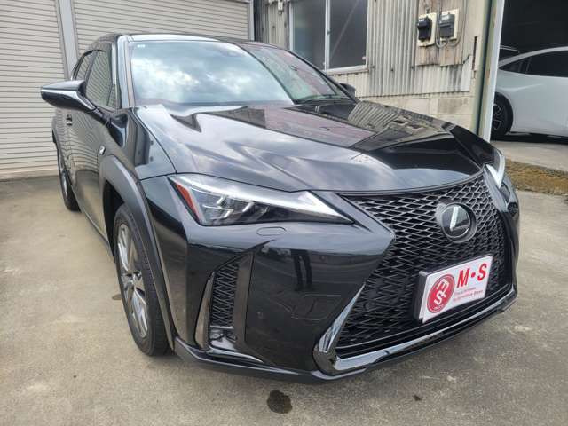 UX250h Fスポーツ
