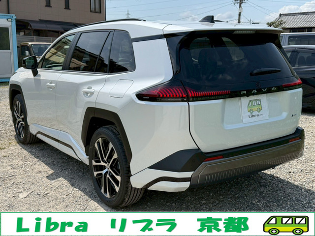 ���[�J�[�I�v�V����(�p�m���}���[�����[�t�E20�C���`�A���~�E�v���`�i�z���C�g�p�[���}�C�J)