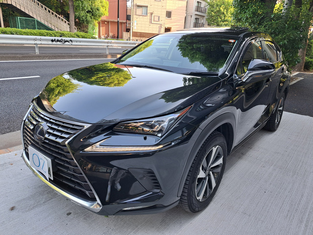 NX300h バージョンL 4WD