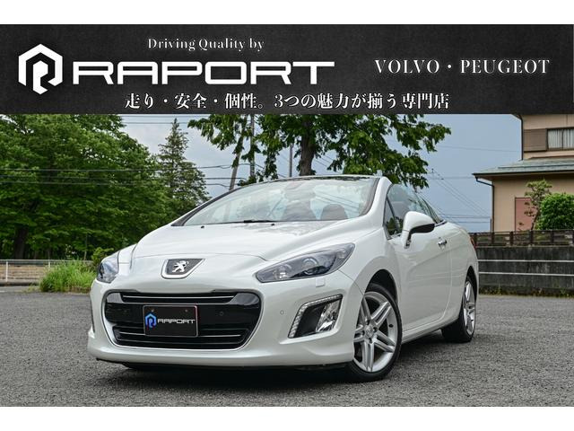308CC�i�v�W���[�j�O���t�@����^ �C���e�O�������U�[PKG �i�r ���Îԉ摜