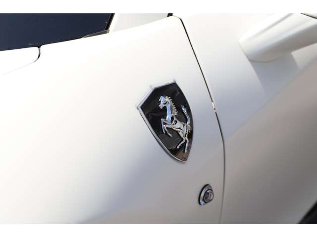 �J�[�{�� �X�N�[�f���A�t�F���_�[�V�[���h�E��158,000