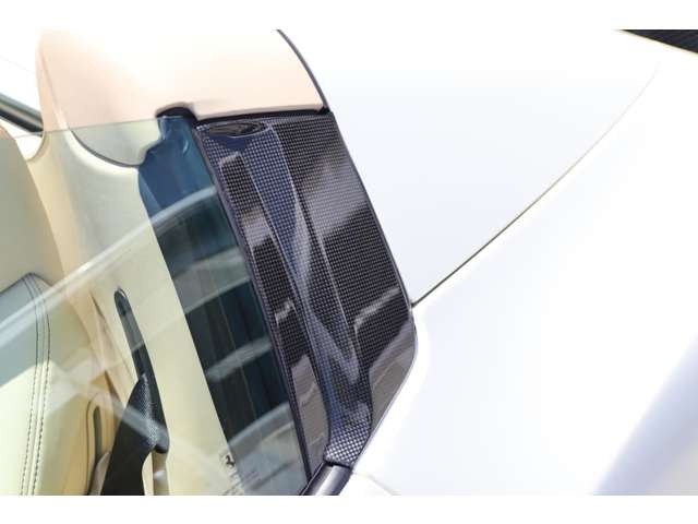 �J�[�{���t�@�C�o�[ B�s���[�E��340,000