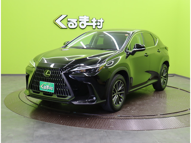 NX250