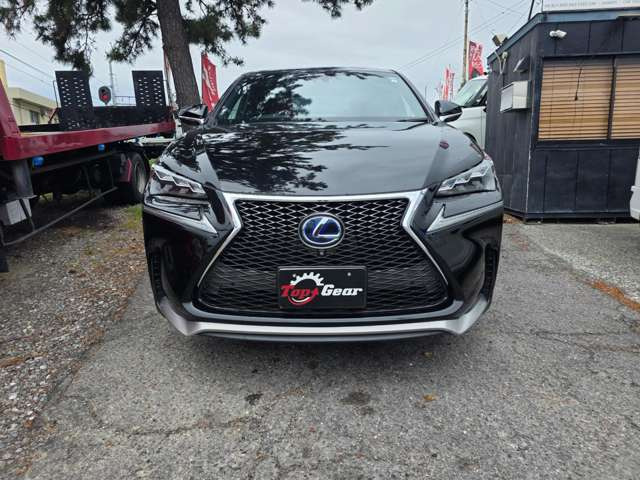 NX300h Fスポーツ