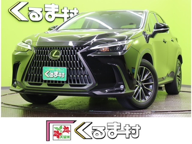 NX�i���N�T�X�j250�@�y9.8�^D�I�[�f�B�I������V�[�g�z ���Îԉ摜