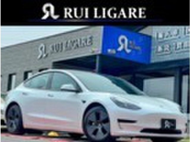 ���f��3�i�e�X���j�X�^���_�[�h�����W �v���X�@�I�[�g�p�C���b�g ��C���f�� ���v�V�[�g ���Îԉ摜