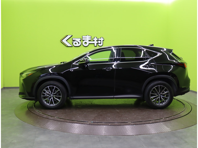 NX250