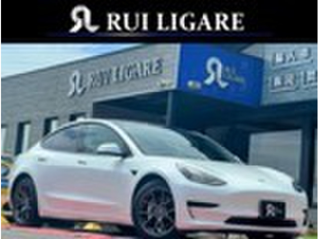 ���f��3�i�e�X���j�X�^���_�[�h�����W �v���X�@�����I�[�i�[ �I�[�g�p�C���b�g ���Îԉ摜