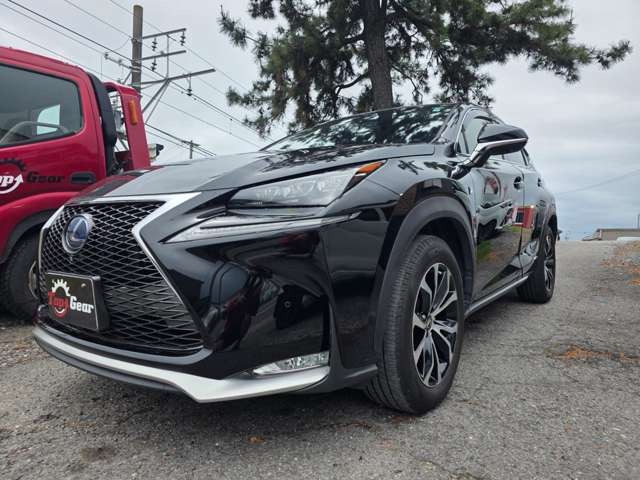 NX300h Fスポーツ