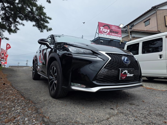 NX300h Fスポーツ