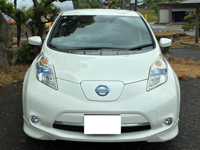 リーフ30kWh S