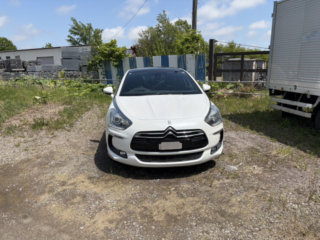 DS5シック