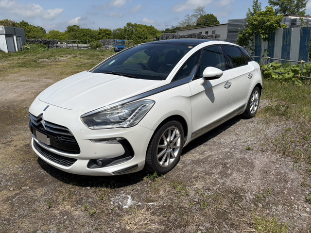 DS5シック