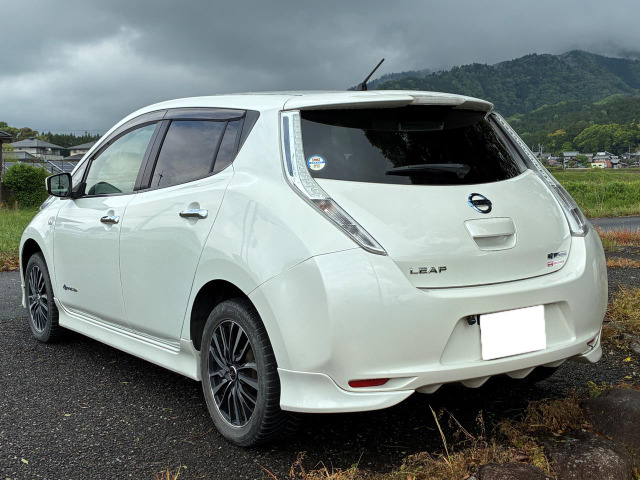 リーフ30kWh S