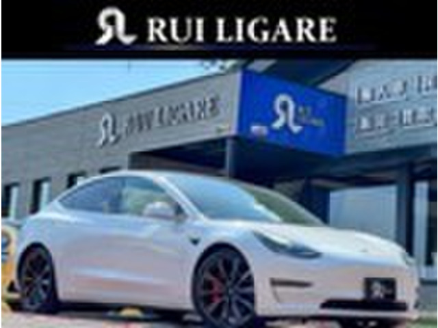 ���f��3�i�e�X���j�p�t�H�[�}���X 4WD�@�I�[�g�p�C���b�g �p�m���}�K���X���[�t ���Îԉ摜