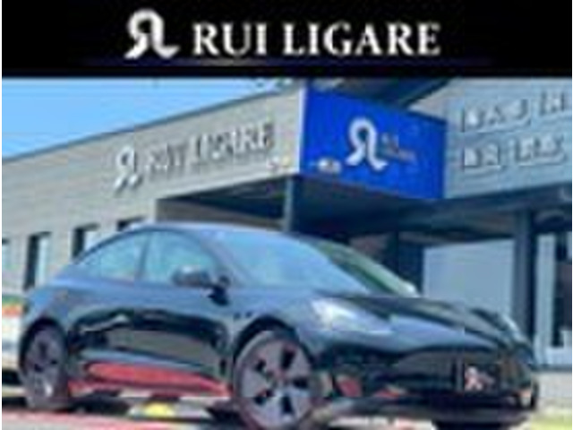 モデル3RWD