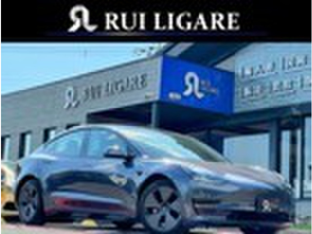 ���f��3�i�e�X���j�X�^���_�[�h�����W �v���X ���Îԉ摜