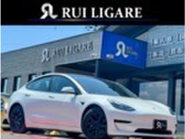 ���f��3�i�e�X���j�X�^���_�[�h�����W �v���X�@�C���f�� �I�[�g�p�C���b�g ���Îԉ摜