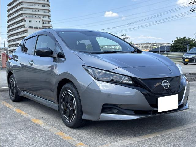リーフX