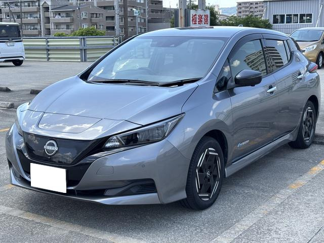 リーフX