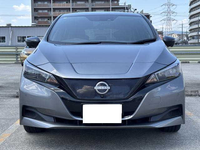 リーフX