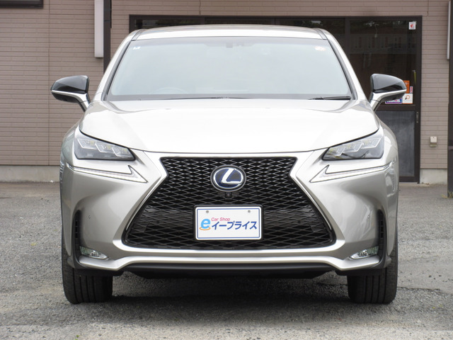 NX300h Fスポーツ 4WD