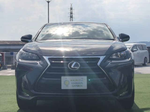 NX200t