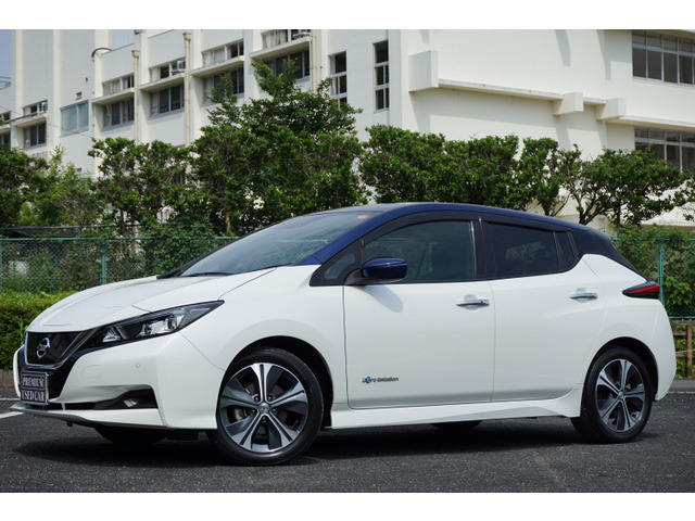 ���[�t(���Y) X 10����L�O�ԁ@���[�d296(313km)�Z�O�����g12 ���Îԉ摜