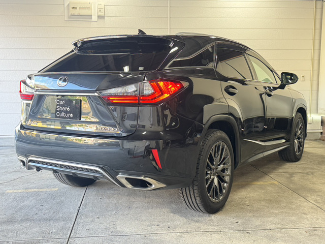 RX300 Fスポーツ