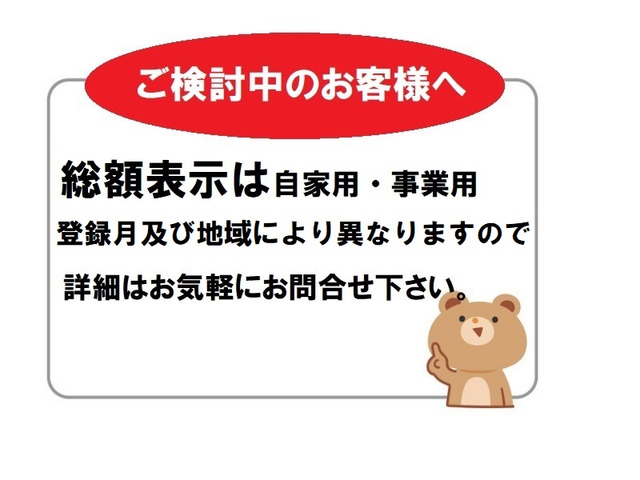 デュトロ4.0 ワイド 全低床 ディーゼル