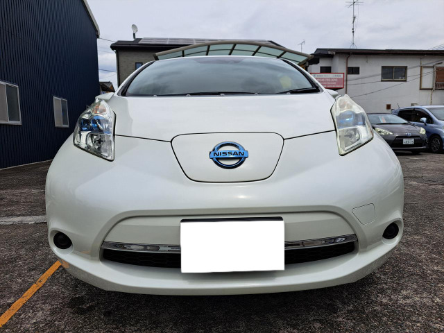 リーフ30kWh X