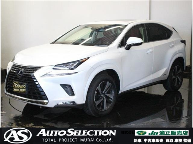 NX300h バージョンL 4WD