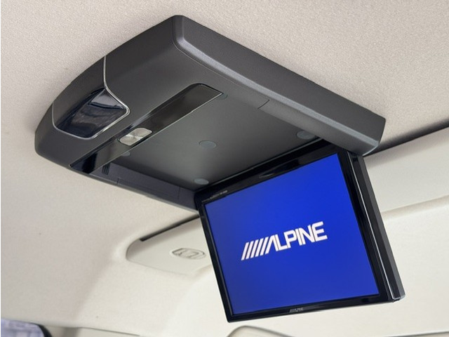 ALPINE �t���b�v�_�E�����j�^�[����!
