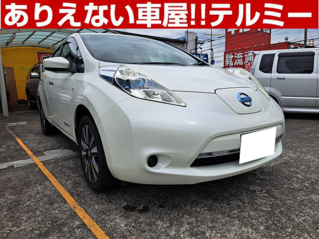 リーフ30kWh X