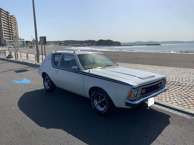 /その他 AMC